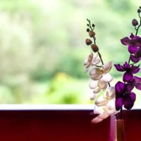 3-bed - Sleeps 7 - Hot Tub - Pet Friendly